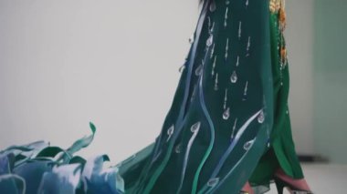 Geleneksel Hint sarisi içinde zarif bir kadın. Karmaşık tasarımları var. Sabaha düz bir arkaplanda kısmi bir bakış açısı var.