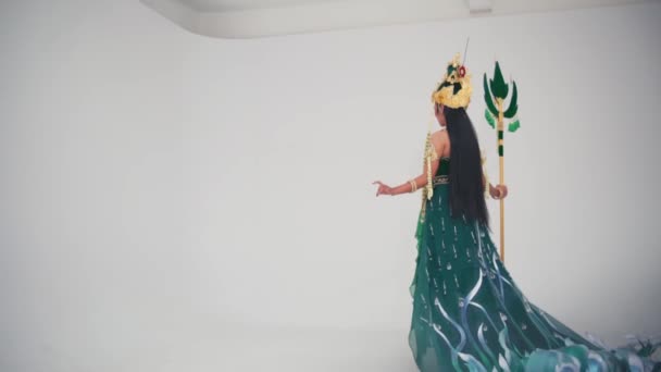 Elegant Person Masquerade Costume Bird Mask Long Flowing Green Dress — Stock Video