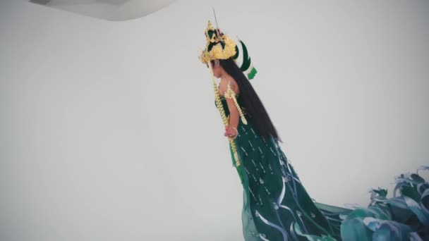 Artiste Asiatique Traditionnel Costume Élaboré Coiffure Sur Fond Clair Vue — Video