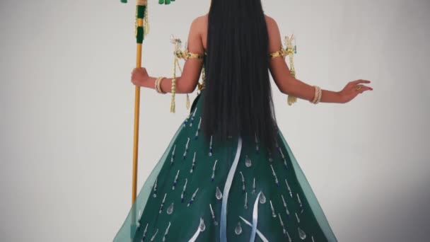 Achteraanzicht Van Een Persoon Traditionele Indiase Kledij Met Lang Haar — Stockvideo
