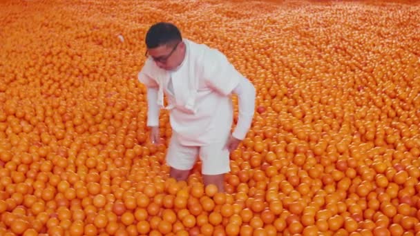 Inspecteur Qualité Blouse Blanche Debout Milieu Une Mer Oranges Dans — Video