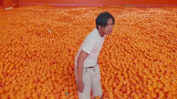 オレンジの海で遊んでいる子供 日光の間に活発な柑橘類の背景 — ストック動画