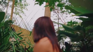 Bir kadının yemyeşil tropikal yeşillikler arasındaki arka görünüşü, sabahları doğayla bir macera ve bağ hissi uyandırıyor.