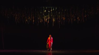 Arka planda bulanık bir seyirciyle karanlık bir sahnede tek başına dans eden bir dansçı, performans ve izolasyon duygusunu vurguluyor..