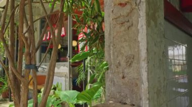 Renkli ve eski tarz kıyafetler giymiş korkuluklara yaslanan bir grup insan. Görüntü biraz bulanık, hareket veya aktivite hissi veriyor..