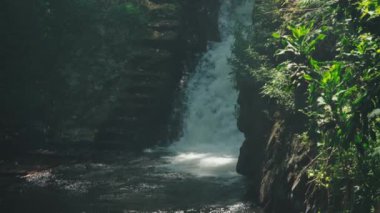 Serin bir şelale, yemyeşil yapraklarla çevrili sakin bir nehre dökülüyor. Güneş ışığı ağaçların arasından süzülüp, barışçıl bir atmosfer yaratır..