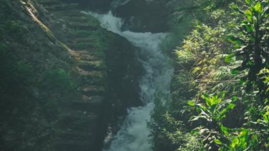 Bereketli yeşilliklerle çevrili kayalık basamaklardan akan sakin bir şelale. Güneş ışığı ağaçların arasından süzülüp sakin bir atmosfer yaratır..