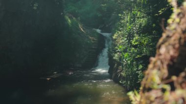 Serin bir şelale, yemyeşil ve kayalarla çevrili sakin bir havuza dökülüyor. Güneş ışığı ağaçların arasından süzülüp, barışçıl bir atmosfer yaratır..