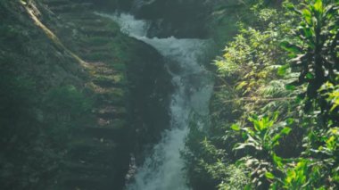 Bereketli yeşil yapraklarla çevrili kayalık basamaklardan akan sakin bir şelale. Güneş ışığı ağaçların arasından süzülüp sakin bir atmosfer yaratır..