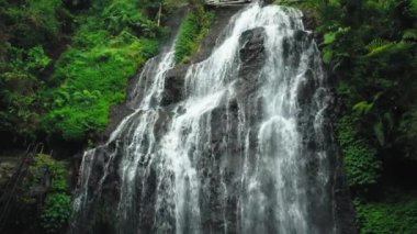 Sersemletici bir şelale, yemyeşil yapraklarla çevrili kayalık bir uçurumdan aşağı yuvarlanıyor. Su özgürce akıyor, sakin ve sakin bir atmosfer yaratıyor..