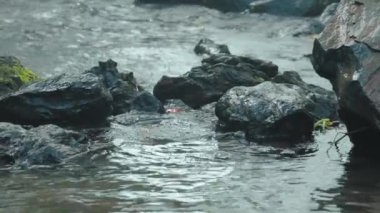 Pürüzsüz kayaların akarsuya kısmen battığı sakin bir su sahnesi. Su berraktır, etrafındaki doğayı yansıtır, yumuşak dalgalar ve kayalara hafifçe odaklanır..