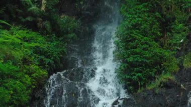 Bereketli yeşil yapraklarla çevrili kayalık arazide çağlayan sakin bir şelale. Su aşağıdaki kayalara sıçrar ve sakin bir atmosfer yaratır..