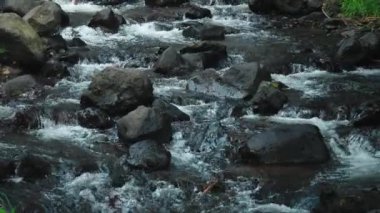 Pürüzsüz, karanlık kayaların üzerinde akan temiz suyla akan bir dere. Sahne yemyeşil ve doğal..