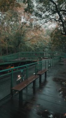 Parmaklıkları ve bankları olan yemyeşil ağaçlarla çevrili sakin bir ahşap geçit. Zemin ıslak, yakın zamanda yağdığını gösteriyor, ve atmosfer sakin ve huzurlu..