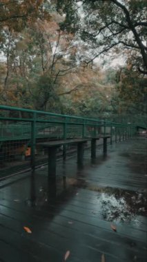 Bereketli ağaçlarla çevrili, yağmurdan sonra yerdeki su birikintilerini yansıtan sakin bir ahşap geçit. Atmosfer sakin, sonbahar yaprakları etrafa saçılmış..