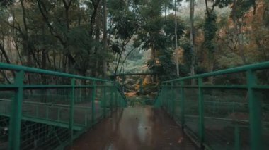 Bereketli yeşil ağaçlar ve yeşilliklerle dolu sakin bir orman sahnesi, bir dolambaçlı yolu ve arka planda bir köprüsü var. Atmosfer sakin ve sakin, doğanın güzelliğini gösteriyor..