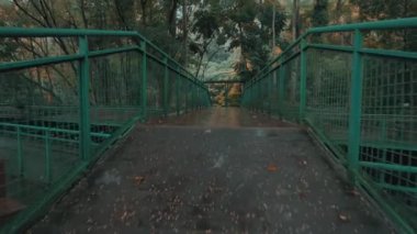 Yeşillik ağaçlar ve yapraklarla çevrili, yüzeyinde yağmur damlacıkları olan yeşil yaya köprüsünün sakin bir görüntüsü, sakin bir atmosfer yaratıyor..