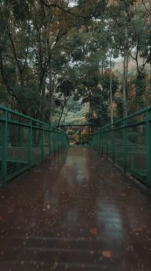 Güz yapraklarıyla çevrili metal bir köprünün yer aldığı yemyeşil bir ormanın içinden geçen sakin bir patika. Yer ıslak, bulutlu gökyüzünü yansıtıyor..