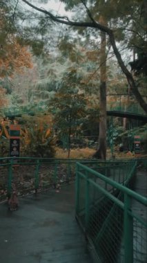 Bereketli yeşilliklerin, ağaçların ve dolambaçlı bir yolun olduğu sakin bir park sahnesi. Yapraklar sonbahar renklerini sergiliyor ve sakin bir atmosfer yaratıyor. Arka planda doğal güzelliği artıran bir köprü görülebilir..