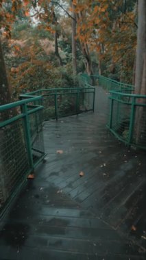 Bereketli yeşillikler ve sonbahar yapraklarıyla çevrili dolambaçlı ahşap bir geçit. Yol yeşil bir korkulukla yükseltilmiş, ormanlık alanda sakin bir atmosfer yaratmış..