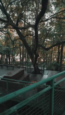 Etrafı yemyeşil ağaçlarla çevrili, yere saçılmış sonbahar yaprakları olan sakin bir ahşap güverte. Atmosfer sakin ve huzurlu. Rahatlamak ya da doğa yürüyüşleri için ideal..