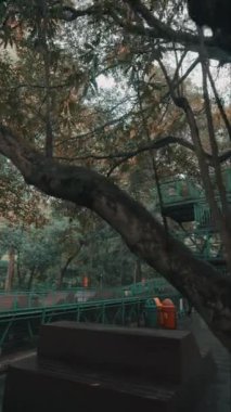 Bereketli ağaçlarla çevrili yeşil bir merdivenin olduğu sakin bir açık hava sahnesi. Zemin ahşap ve yakınlarda renkli çöp kutuları var. Atmosfer, sonbahar yapraklarıyla sakin ve doğal..