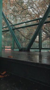 Ahşap bir güverteye bakan yeşil bir korkuluk ve ağaçlarla çevrili bir köprü manzarası. Sahne, sonbahar yapraklarıyla sakin bir orman atmosferini yakalıyor..