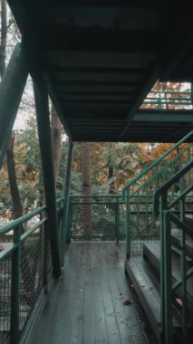 Yeşillik ve sonbahar yapraklarıyla çevrili yeşil parmaklıkları ve merdivenleri olan ahşap bir güverte. Sahne sakin, doğa ve mimarinin bir karışımını sergiliyor..