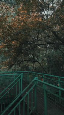 Çiçekli ağaçlar ve yapraklarla çevrili yeşil bir yürüyüş yolunun sakin manzarası, sonbahar renklerinin ipuçlarıyla. Patikada metal bir korkuluk var ve sakin bir orman ortamında geçiyor..