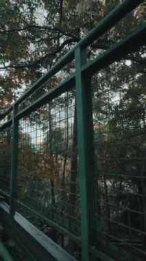 Ağın desenli yeşil bir metal korkuluk ağaçlar ve sonbahar yapraklarıyla dolu yemyeşil bir ormana bakar. Sahne, doğa ve mimarinin etkileşimini vurgulayan sakin bir açık hava manzarası yakalıyor..