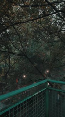 Yumuşak ışıklarla aydınlatılan yemyeşil bir ormanda dolambaçlı bir yol manzarası. Yol sık ağaçlar ve yapraklarla çevrili. Huzurlu bir atmosfer yaratıyorlar..