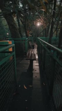 Her iki tarafında yemyeşil banklar olan bir ormanda sakin bir patika. Sahne, ağaçların arasından süzülen yumuşak ışıkla aydınlatılıyor ve sakin bir atmosfer yaratıyor. Islak yüzeyler yakın zamanda yağdığını gösteriyor..