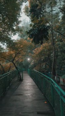 Bereketli ağaçlar ve sonbahar yapraklarıyla çevrili sakin bir ahşap geçit. Yol, yumuşak bir ışıkla aydınlatılır ve doğal ortamda sakin bir atmosfer yaratır..