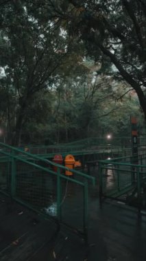 Etrafı yemyeşil ağaçlarla çevrili, ahşap döşemeli sakin bir orman yolu. İki renkli çöp tenekesi, biri turuncu ve biri sarı, yol boyunca yerleştiriliyor. Atmosfer sakin ve biraz da sisli. Bu da sabah ya da akşam üzeri olduğunu gösteriyor..