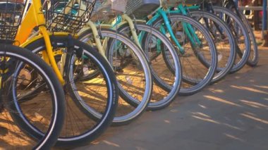 Bir sıra bisiklet park etmiş, tekerleklerini ve çerçevelerini sergiliyorlar. Sahne, gölgelerin yere düştüğü güneşli bir günü yakalıyor, motorların renklerini vurguluyor..