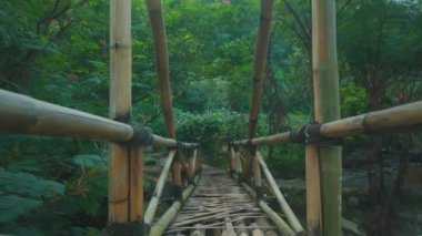 Bereketli yeşilliklerle çevrili sakin bir ormana doğru uzanan sakin bir bambu köprüsü. Yol bambu ve ahşap tahtalardan yapılmıştır..