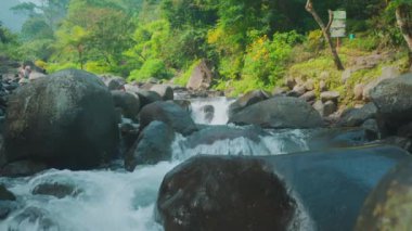 Ağaçlar ve canlı çiçeklerle çevrili yemyeşil bir arazide, geniş kayaların üzerinden akan sakin bir nehir. Su nazikçe çağlar ve huzurlu bir atmosfer yaratır..