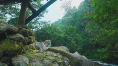 Bereketli yeşilliklerle çevrili kayalık bir nehir kıyısına sahip huzurlu bir manzara. Sahne, ağaçlar, kayalar ve yumuşak bir akıntıyla doğanın huzurunu yakalar..