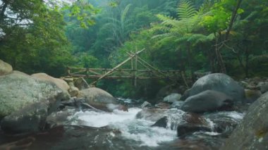 Pürüzsüz taşlarla akan bir nehir ve kırsal bambu köprüsünün geçtiği sakin bir manzara. Bereketli yeşillik çevreyi sarar, sakin bir atmosfer yaratır..