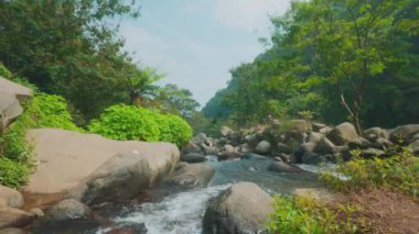 Bereketli yeşillik ve büyük kayalarla çevrili akan bir nehrin olduğu sakin bir manzara. Sahne, yukarıdaki açık mavi gökyüzü ile doğanın sükunetini yakalıyor..