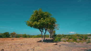 Berrak mavi bir gökyüzünün altında kayalık bir arazide birkaç ağacın yer aldığı sakin bir manzara. Sahne, arka planda canlı yeşillik ve ön planda kuru, açık bir alan ile doğanın güzelliğini yakalar..