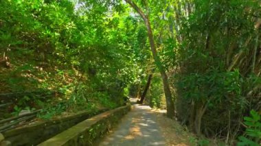 Bereketli yeşillik ve yoğun yeşilliklerle çevrili sakin bir patika, davetkar bir keşif. Güneş ışığı ağaçların arasından süzülüp, barışçıl bir atmosfer yaratır..