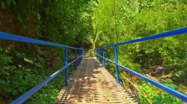 Bereketli yeşil yapraklar ve tropikal bitkilerle çevrili, sakin bir doğal ortamdan geçen, mavi parmaklıklı, manzaralı ahşap bir patika..