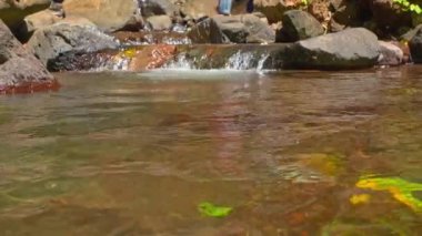 Kayaların üzerinden akan yumuşak bir akıntıya sahip sakin bir su sahnesi. Su berrak, yüzeyin altındaki renkli yaprakları ve çakıl taşlarını ortaya çıkarıyor. Güneş ışığı suda parlıyor, sakin bir atmosfer yaratıyor..