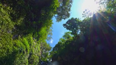 Bereketli yeşilliklerle çevrili canlı bir şelale manzarası, ağaçların arasından süzülen güneş ışığı. Perspektif, şelalenin tabanından yukarıya, mavi gökyüzüne ve parlak güneşe bakıyor..