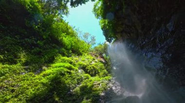 Bereketli yeşilliklerle çevrili kayalık bir uçurumdan dökülen şelalenin çarpıcı manzarası. Güneş ışığı ağaçların arasından süzülerek sakin bir atmosfer yaratır..