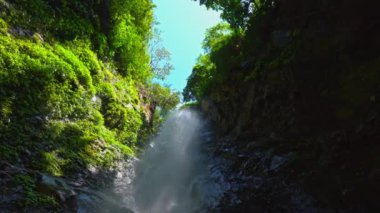 Bereketli yeşil yapraklar ve parlak mavi gökyüzü ile çevrili kayalık uçurumlardan dökülen çarpıcı bir şelale. Güneş ışığı ağaçların arasından süzülerek sakin ve sakin bir atmosfer yaratır..