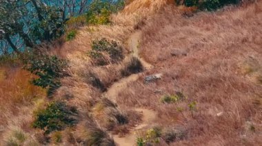 Kuru çimenlerin ve çalıların arasından, arka plandaki su birikintisine doğru uzanan dolambaçlı bir toprak patika. Sahne, toprak tonlarıyla ve sakin atmosferiyle doğal bir manzara yakalıyor..