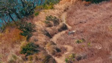 Kuru çimenlerin ve çalıların arasından bir su kütlesine doğru uzanan dolambaçlı toprak bir patika. Çevrede altın otlar ve yeşil yapraklar serin ve doğal bir ortam oluşturur..
