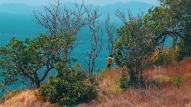 Ağaçların ve kuru otların arasında duran bir insanın olduğu sahilin manzarası. Okyanus arka planda görülebilir, açık mavi gökyüzünün altında dağlar var..